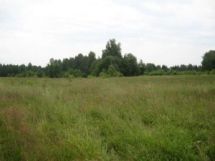 Селигерский пейзаж